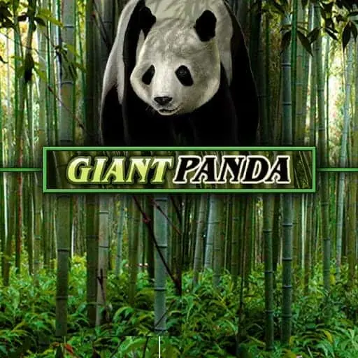 Untamed Giant Panda slot by Games Global