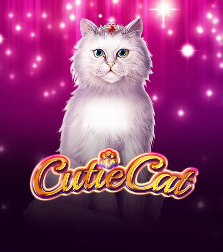 Cutie Cat